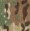 multicam